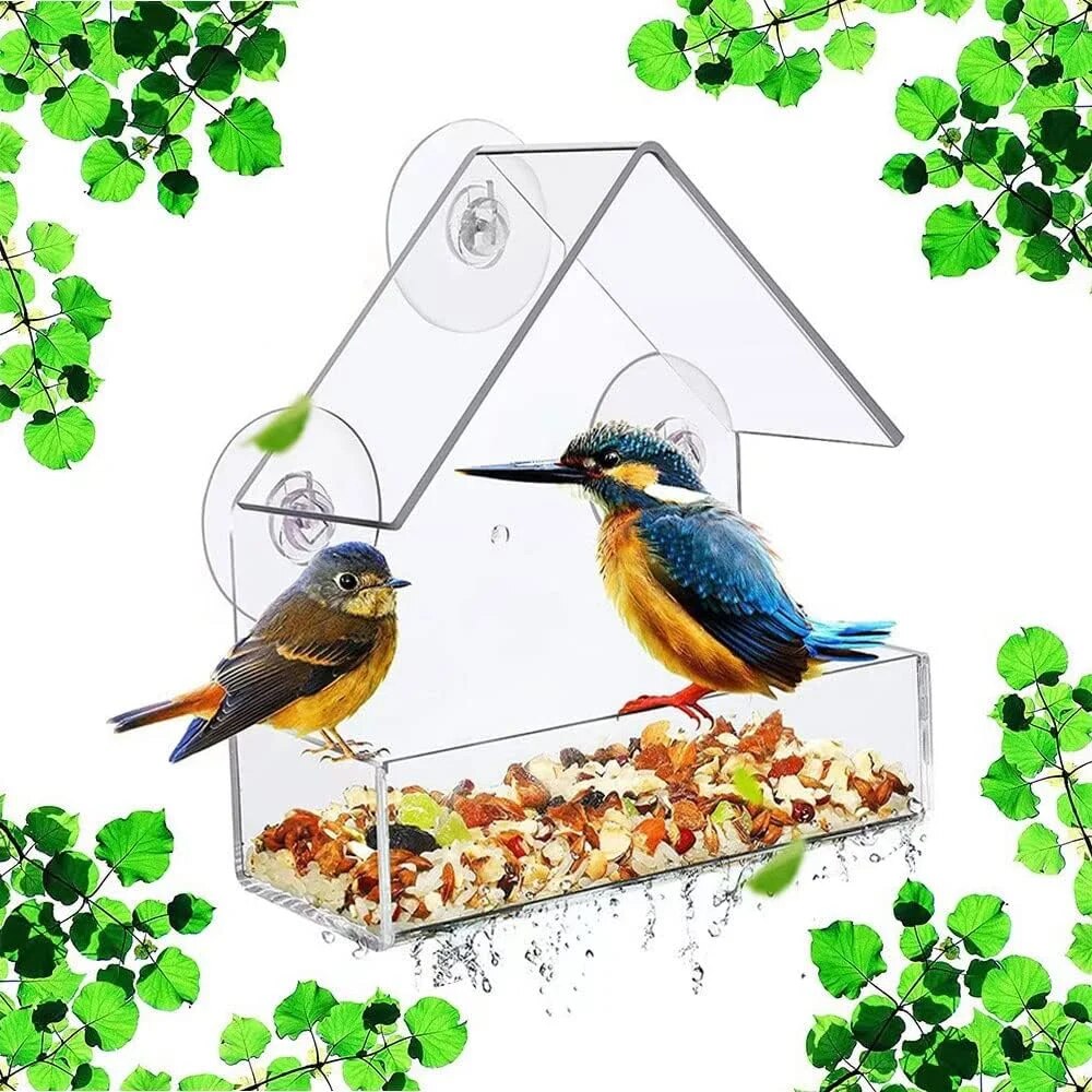 Smart Bird Feeder Camera - Mangeoire à oiseaux en acrylique, fenêtre