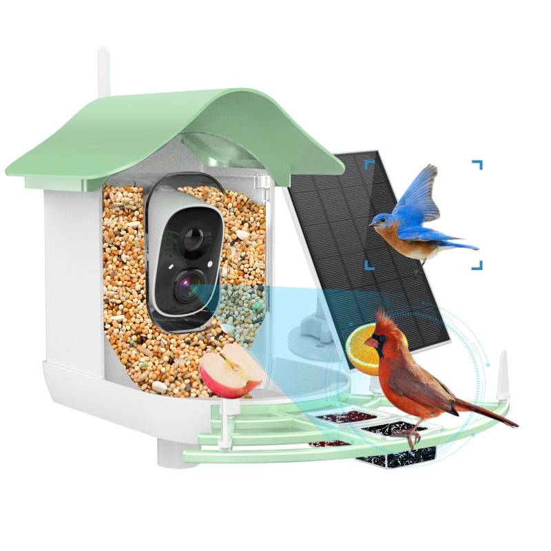 Smart Bird Feeder Camera - Caméra de Capture automatique vidéo avec