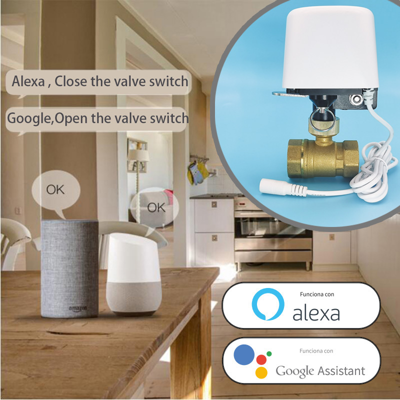 Vanne d'eau intelligente Tuya  - Smart Garden Outdoor avis et prix
