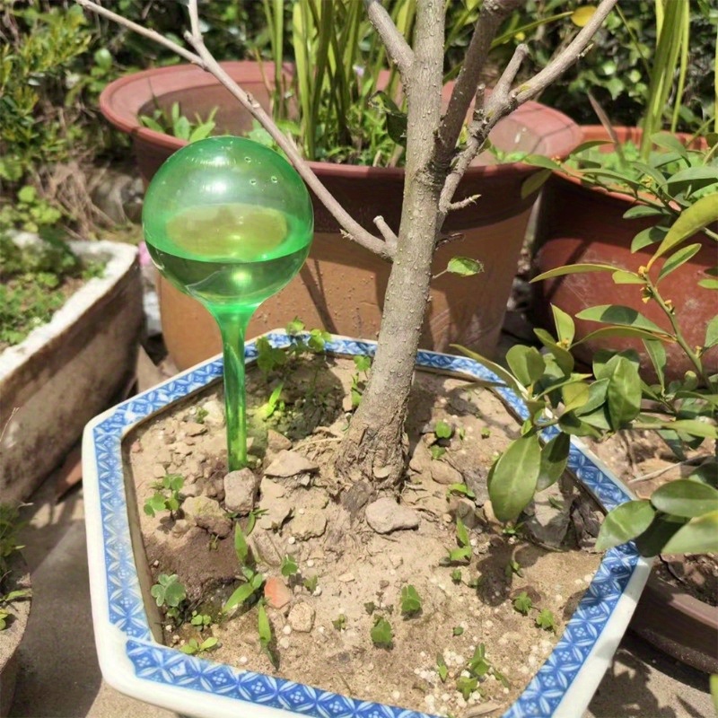 6 boules d'arrosage automatiqu - Smart Garden Project avis et prix