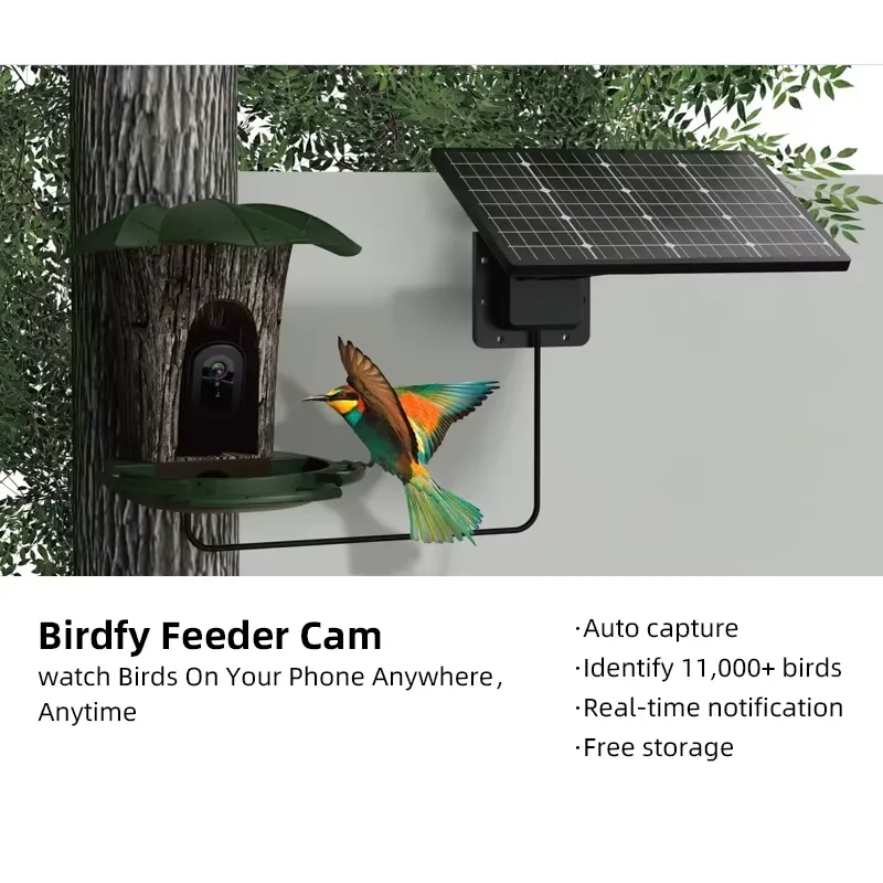 Distributeur de nourriture int - Smart Bird Feeder Camera avis et prix