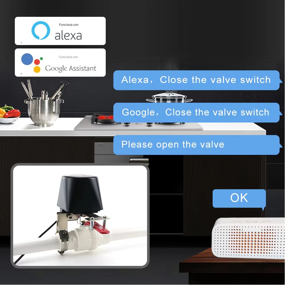 Tuya Zigbee ou Wifi vanne d'ea - Smart Garden Tap avis et prix