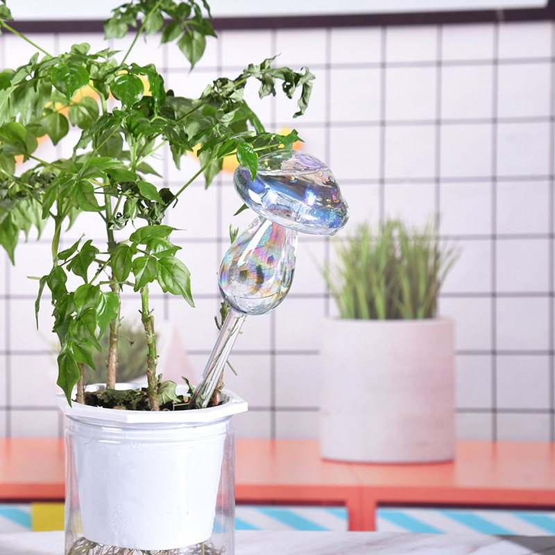 Ampoules d'arrosage automatiqu - Smart Garden Project avis et prix