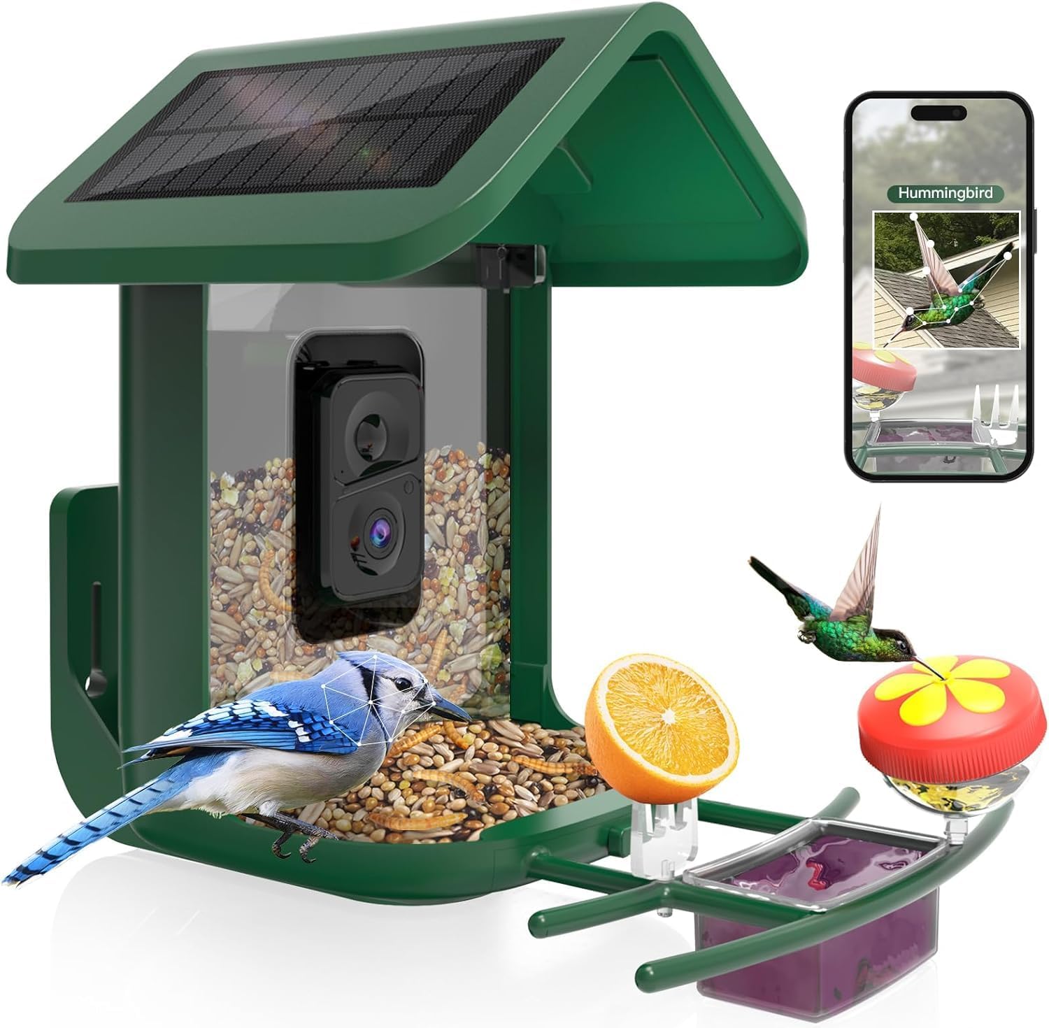 Mangeoire intelligente pour oi - Smart Bird Feeder Camera avis et prix