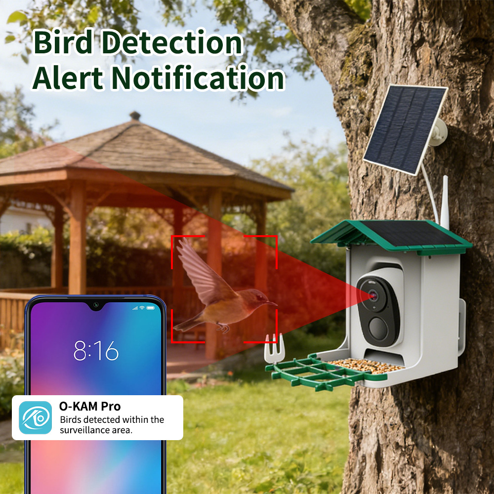 Mangeoire intelligente pour oi - Smart Bird Feeder Camera avis et prix