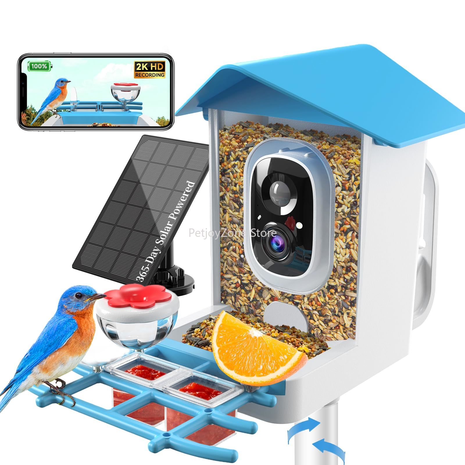 Caméra d'alimentation pour ois - Smart Bird Feeder Camera avis et prix