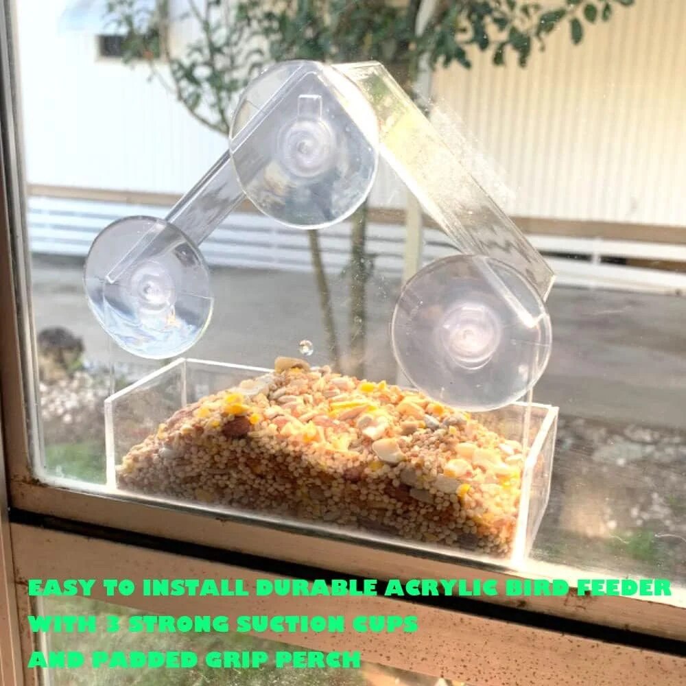Mangeoire à oiseaux en acryliq - Smart Bird Feeder Camera avis et prix
