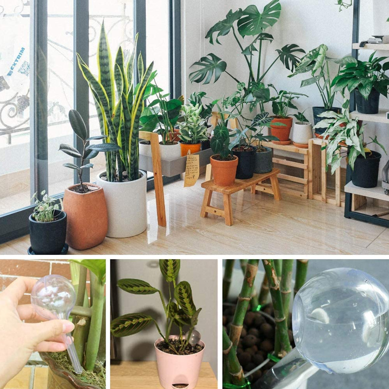 Ampoules d'arrosage automatiqu - Smart Garden Project avis et prix
