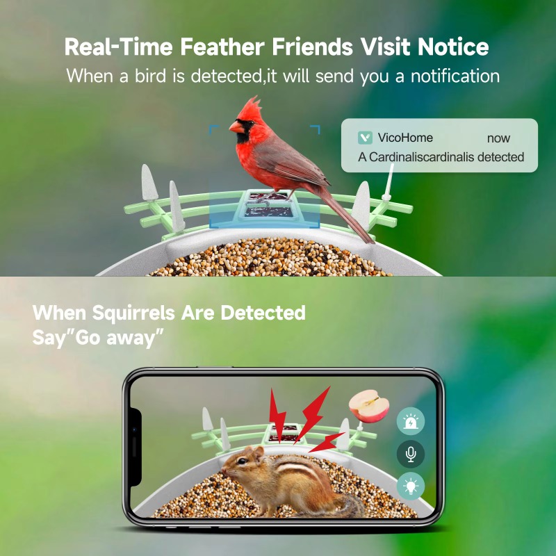 Caméra de Capture automatique  - Smart Bird Feeder Camera avis et prix