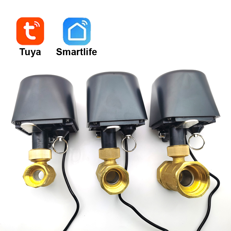 Tuya WiFi ou Zigbee vanne d'ea - Smart Garden Tap avis et prix